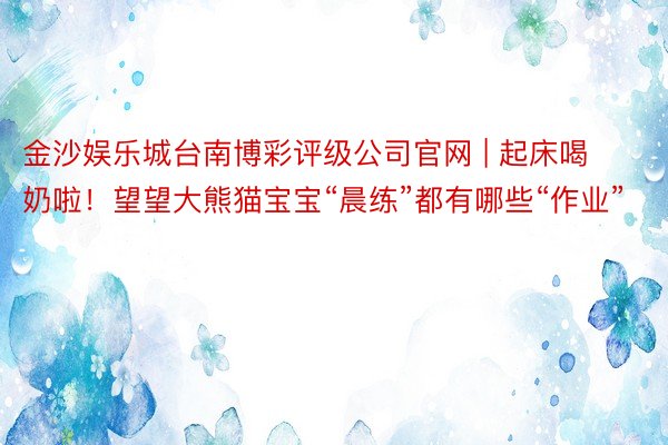 金沙娱乐城台南博彩评级公司官网 | 起床喝奶啦！望望大熊猫宝宝“晨练”都有哪些“作业”
