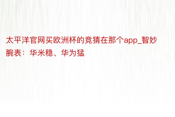 太平洋官网买欧洲杯的竞猜在那个app_智妙腕表：华米稳、华为猛
