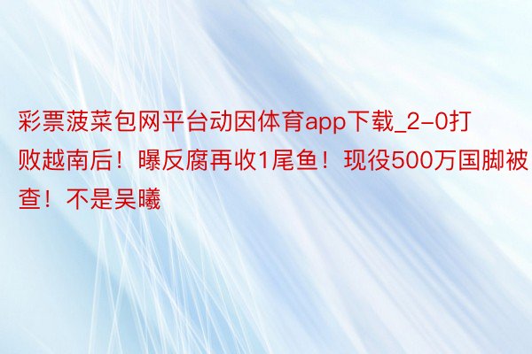 彩票菠菜包网平台动因体育app下载_2-0打败越南后！曝反腐再收1尾鱼！现役500万国脚被查！不是吴曦